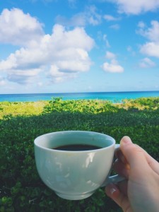 Complimentary breakfast with a view