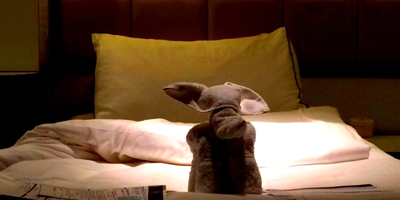 Turndown Service with Towel Art